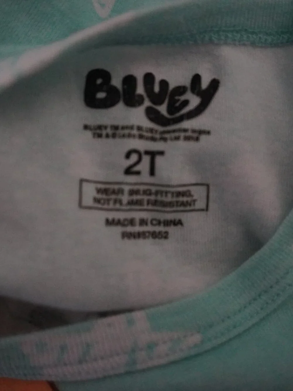 Kids' Mint Bluey & Bingo Character Pajama Top - Long Sleeve